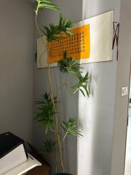 点击看大图 -Lily纤美·科技减脂中心