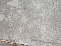 -新记车仔面