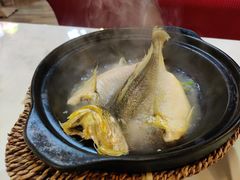泉水黄花鱼-锦園(伊势丹美食城店)