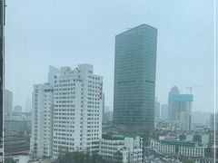 -华中科技大学同济医学院附属同济医院(汉口院区)