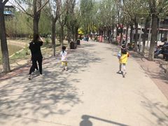 -杨柳青庄园