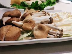 -百年果林椰子鸡(中洲店)