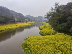 -叶婆婆钵钵鸡(乐山老店)