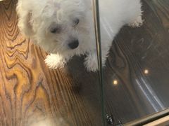 -乐宠宠物店(世纪金源店)