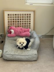 点击看大图 -Touch Nail·品质·美甲美睫