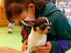-藦茜花园宠物主题亲子互动体验馆(国顺东路店)