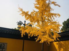 -西园戒幢律寺