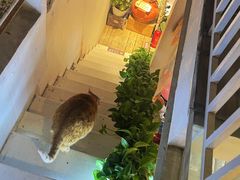 -小时光咖啡馆(北锣鼓巷店)