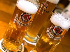 宝莱纳黄啤-宝莱纳餐厅(滨江店)