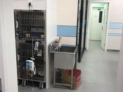 -中农国际动物医院24小时·猫科·骨科·急重症中心