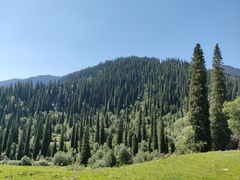 -新疆那拉提国家旅游度假区