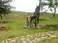 android_upload_pic-丁香湖公园