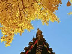 -承恩寺