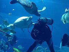 -太平洋海底世界