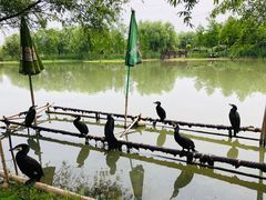 -长兴太湖图影湿地文化园