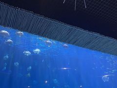 -西安华夏文旅水世界