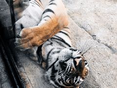 -杭州野生动物世界