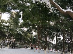 -荆川公园