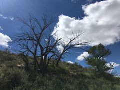 -乌里雅斯太山