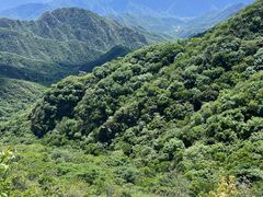 -大岭沟猕猴桃谷风景区