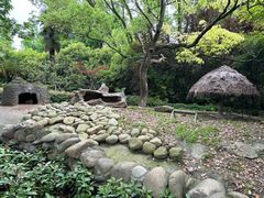 -上海野生动物园