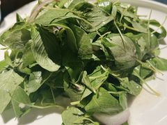 凉拌荆芥-金狮麟·新豫菜(金码大厦店)