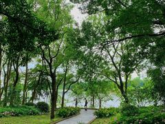 -东湖落雁景区