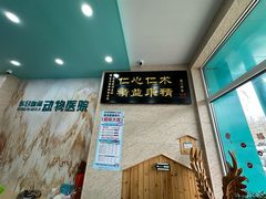 -东日国际动物医院·CT·心脏专科(桃源分院)