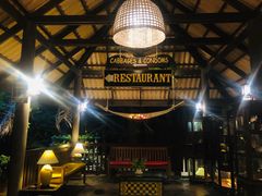 -卷心菜和避孕套餐厅(Pattaya)