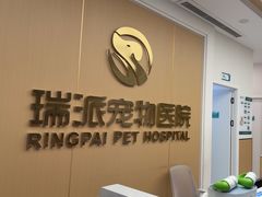 -瑞派康怡24h宠物医院·犬猫医疗中心·微创绝育(瑞景分院)