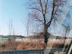 -帽儿山国家森林公园