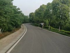 -羊山湖公园