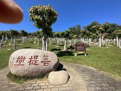 -三亚南山文化旅游区