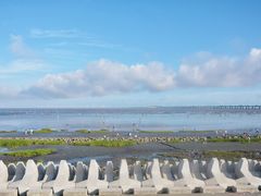 -南汇嘴观海公园