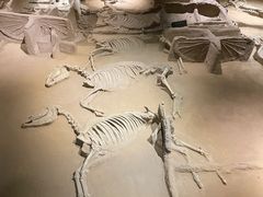 -洛阳周王城天子驾六博物馆