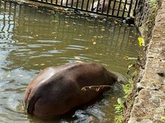 -海南热带野生动植物园