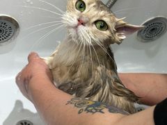 -FAELING PETS美天灵宠物(富力广场店)