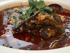 -院8里·少城记忆老川菜(宽窄巷子店)