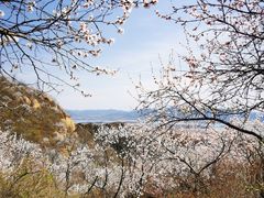 -云峰山自然风景区