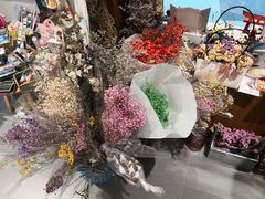 -解忧集市(北京路天河城店)