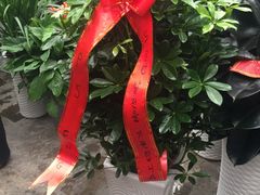 -秦美花卉(天朗·莱茵小城2期店)