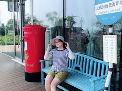 -猫的天空之城概念书店(北戴河蔚蓝海岸店)