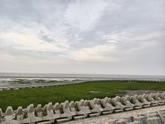 -上海南汇嘴大堤酒店