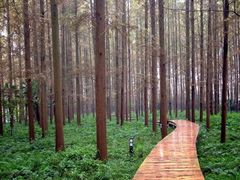 iphone_upload_pic-上海怡沁园度假酒店