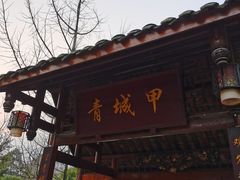 门面-青城甲(青城山店)