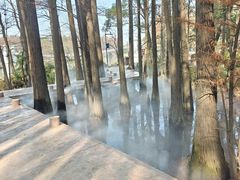 -东湖落雁景区