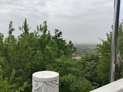 -上海佘山国家森林公园西佘山园