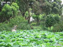 -金龟岛渔村