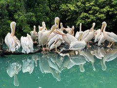 -珠海长隆海洋王国