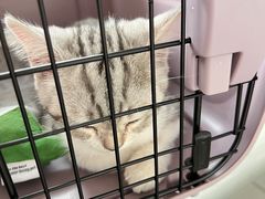 -宠颐生动物医院·小陆分院